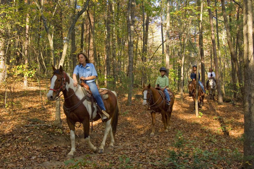 Brasstown Valley Resort & Spa Young Harris Bagian luar foto