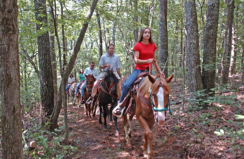 Brasstown Valley Resort & Spa Young Harris Bagian luar foto