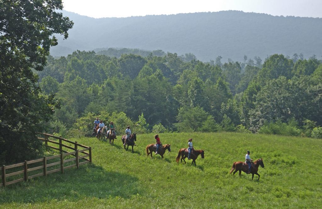 Brasstown Valley Resort & Spa Young Harris Bagian luar foto